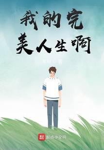 我的完美人生啊